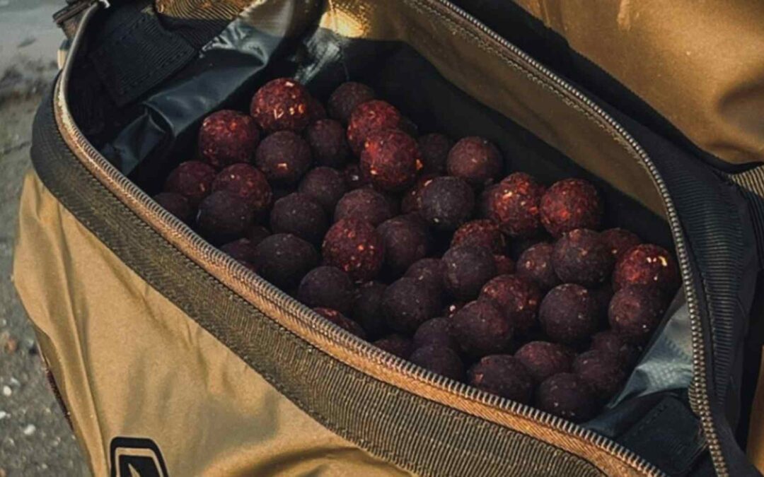 Lov kapra na boilies