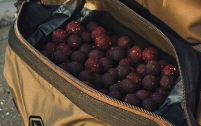 Lov kapra na boilies