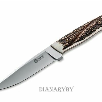 dyka-boker-arbolito-r