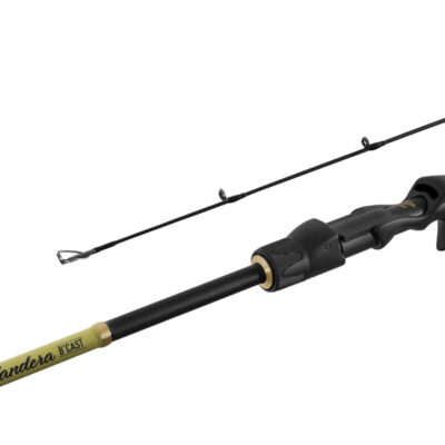 Delphin Zandera B-CAST