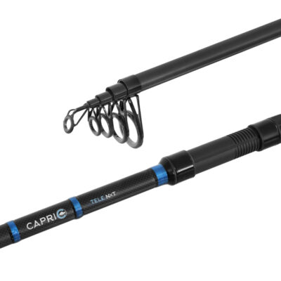 Delphin CAPRI Tele NXT