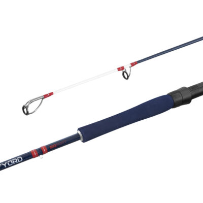 Delphin FYORD BigBOAT