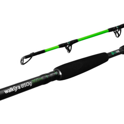 Delphin WALKYRA / 2 diely