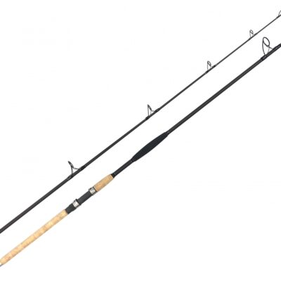 Zfish Prut Catfish Morga 2,70m/100-400g