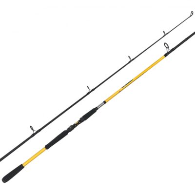 ZFISH Prut Kodiak 2,40m/100-250g